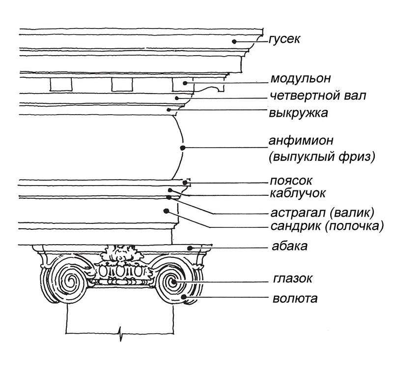 Схема расположения основых элементов и их названий в капители и архитрава ионического ордера
